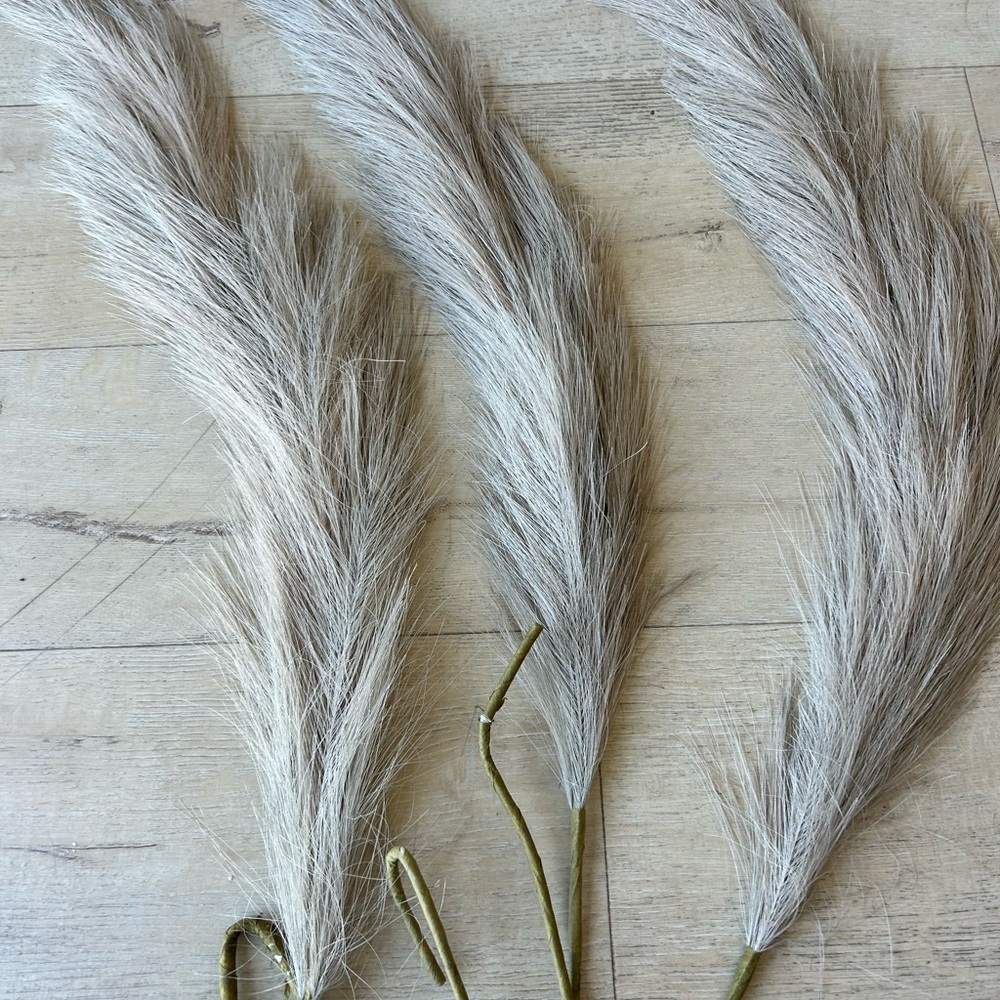 CB2 pompous Grass
